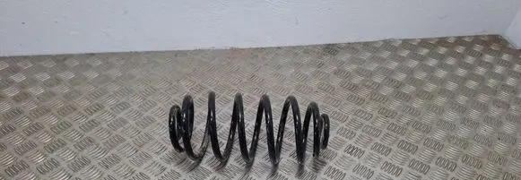 Rear coil spring