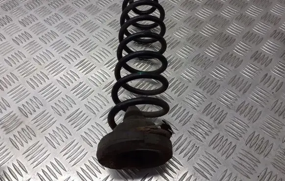 Renault Megane II Rear coil spring BRAK