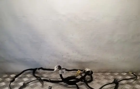 Hyundai Terracan Tailgate/trunk wiring harness 91660H1020