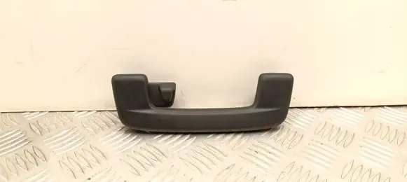 Skoda Enyaq iV Rear interior roof grab handle 10A857643
