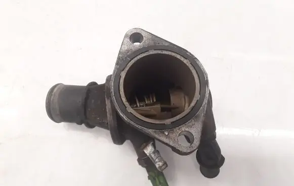 Thermostat/thermostat housing