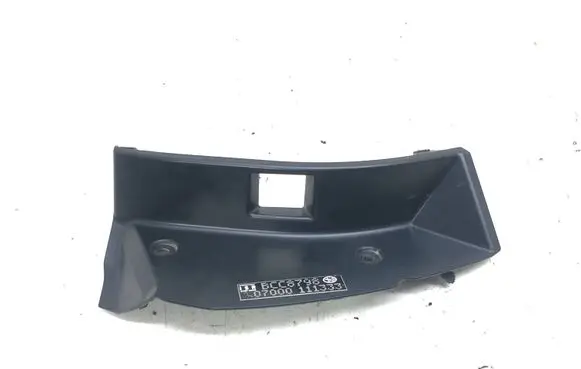 Rear/tail light trim molding