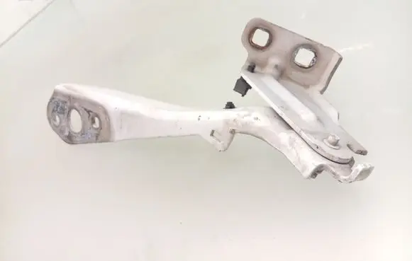 Opel Movano B Engine bonnet/hood hinges 654000006R