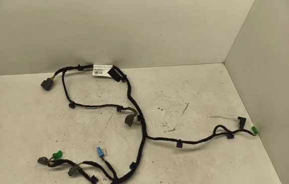 Front door wiring loom