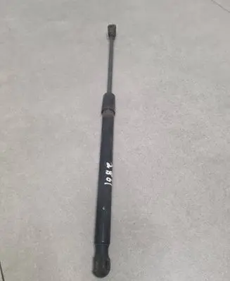 Tailgate/trunk strut/damper