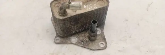 Alfa Romeo 159 Engine oil radiator 5989070271
