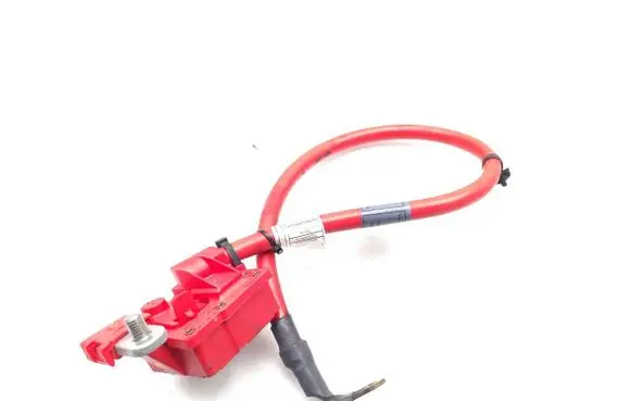 BMW X3 F25 Positive wiring loom 9225099