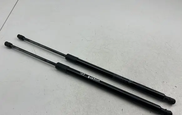 Tailgate/trunk strut/damper