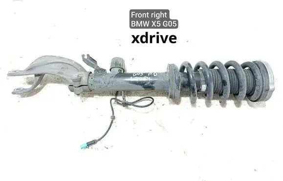 BMW X5 G05 Front shock absorber/damper 6896440