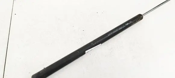 Tailgate/trunk strut/damper