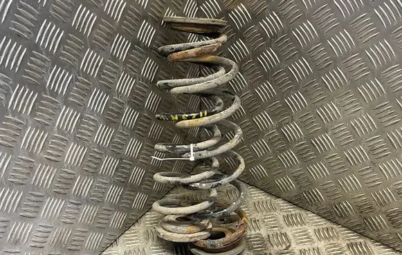 Rear coil spring