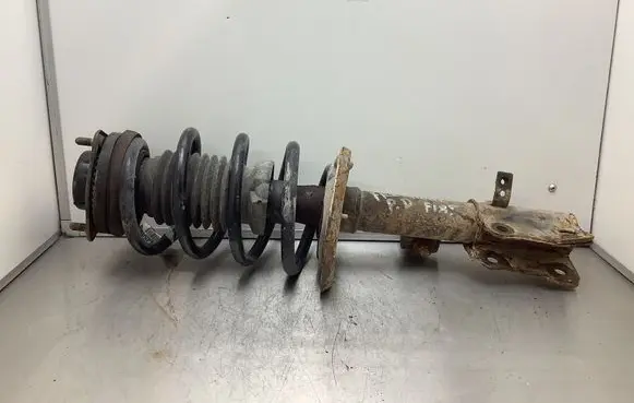 Fiat Freemont Front shock absorber with coil spring