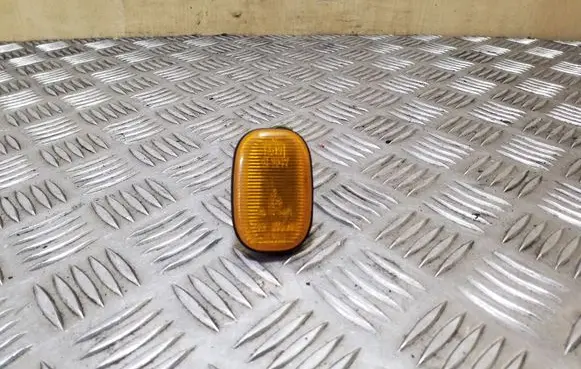 Front fender indicator light