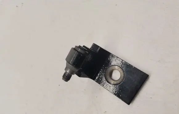 BMW X5 F15 Front door lower hinge 7325055
