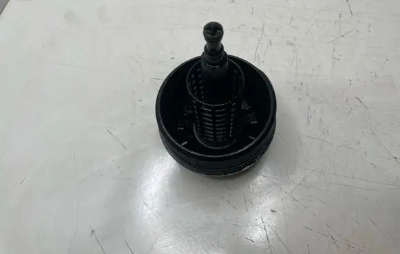 BMW 3 E46 Oil filter cover 1744000