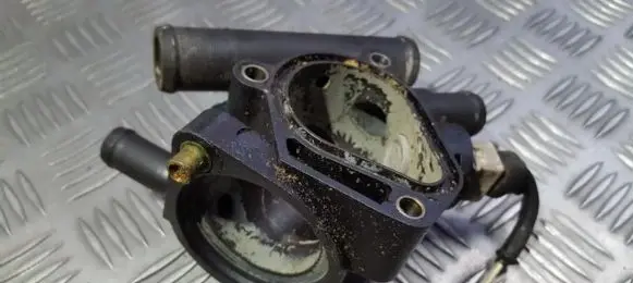 Renault Laguna II Engine coolant pipe/hose 7700866730 7700866731