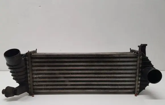 Renault Kangoo II Intercooler radiator 8200427469
