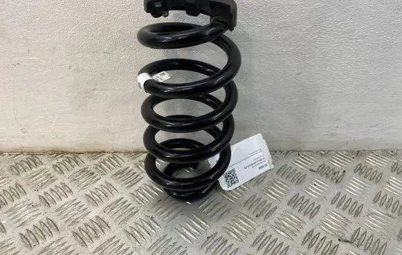 Rear coil spring