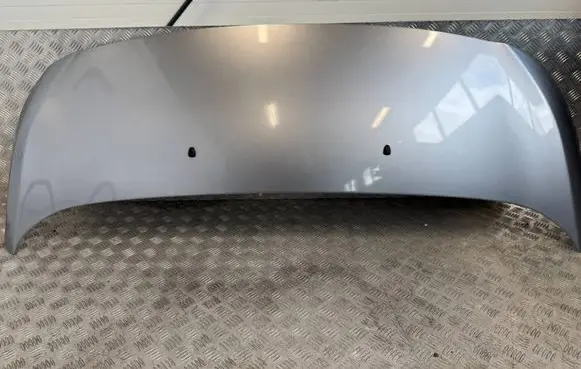 Engine bonnet/hood
