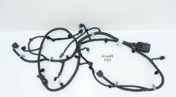 Hyundai Kona II Wiring harness 91880HF150