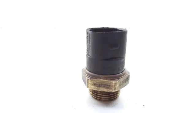 Ford Galaxy Coolant temperature sensor 1H0959481B