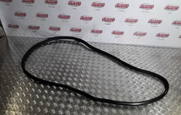 Rear door rubber seal (on body)