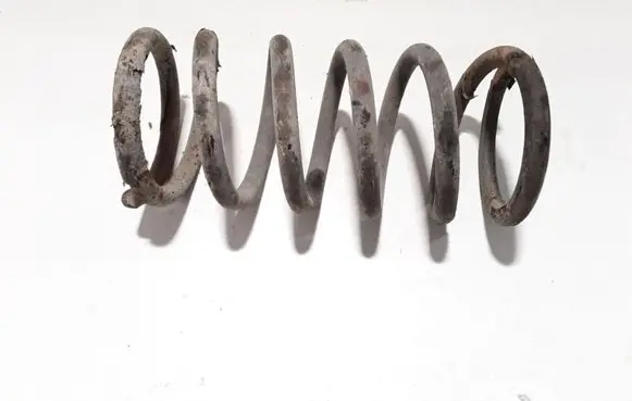 Hyundai Santa Fe Rear coil spring