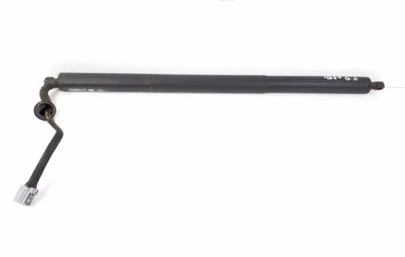 Tailgate strut