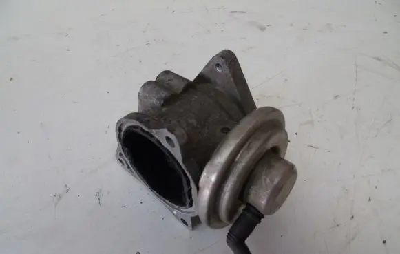 Seat Toledo II (1M) EGR valve 0381311501