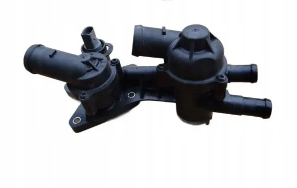 Thermostat/thermostat housing