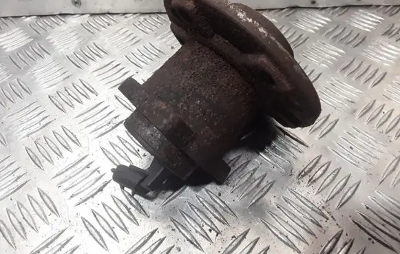 Rear wheel hub