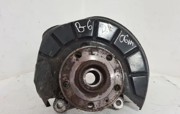 Volkswagen PASSAT B6 Front wheel hub spindle knuckle