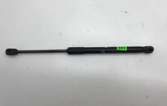 Nissan Leaf I (ZE0) Tailgate/trunk strut/damper 904513NK0A 3795400500N