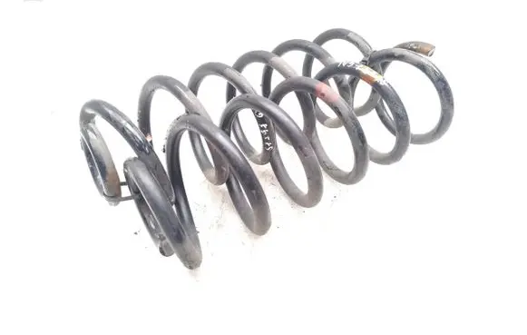 Rear coil spring