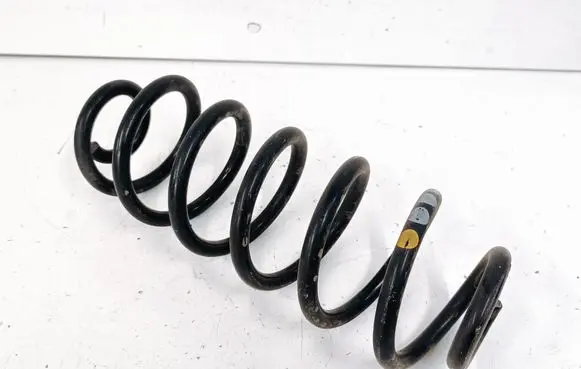 Rear coil spring
