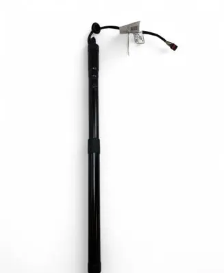 Tailgate strut