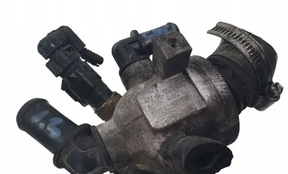 Thermostat/thermostat housing