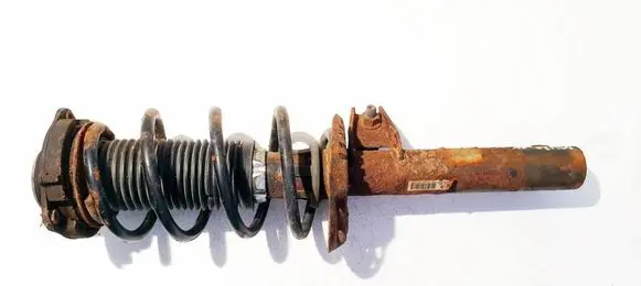 Volkswagen Golf V Front shock absorber/damper 1k0413031be