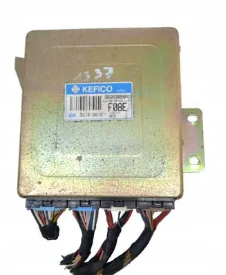 Hyundai Trajet Engine control unit/module 39110-38576