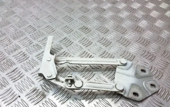 Volkswagen Caddy Engine bonnet/hood hinges 1T0823302