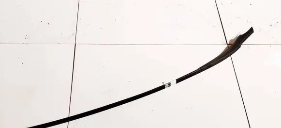 Ford Fiesta Windshield trim 