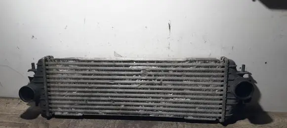 Opel Vivaro Intercooler radiator 91166035