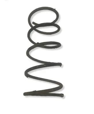 Peugeot 206 Front coil spring 