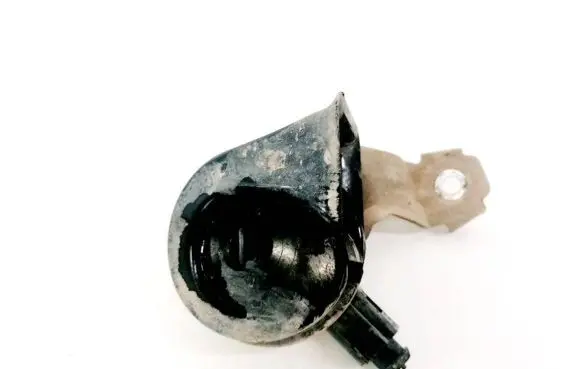 Horn signal