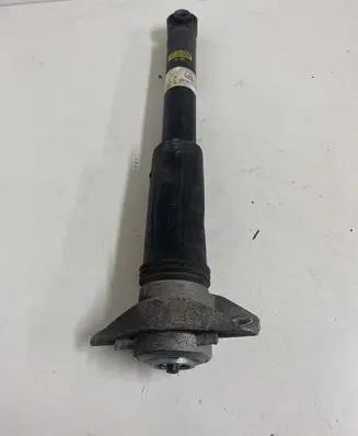 Lexus UX Rear shock absorber/damper 4853076180