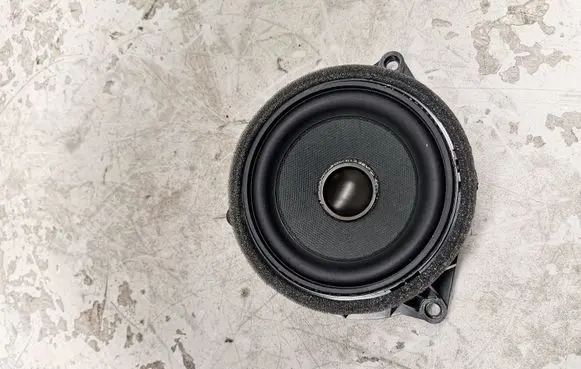 BMW X6M F86 Rear door speaker 9286367