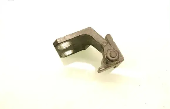 Rear door lower hinge