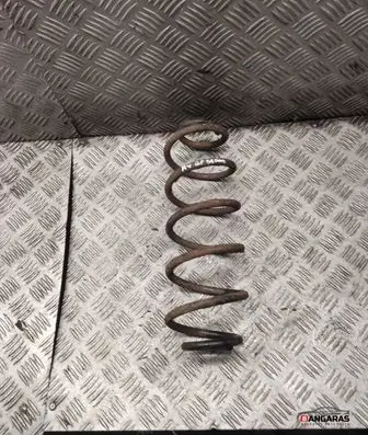 Rear coil spring