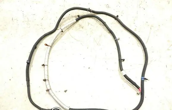 Other wiring loom