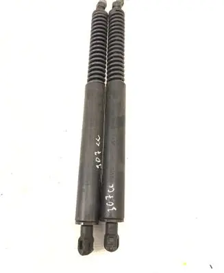 Peugeot 307 CC Rear window strut damper 9652371280